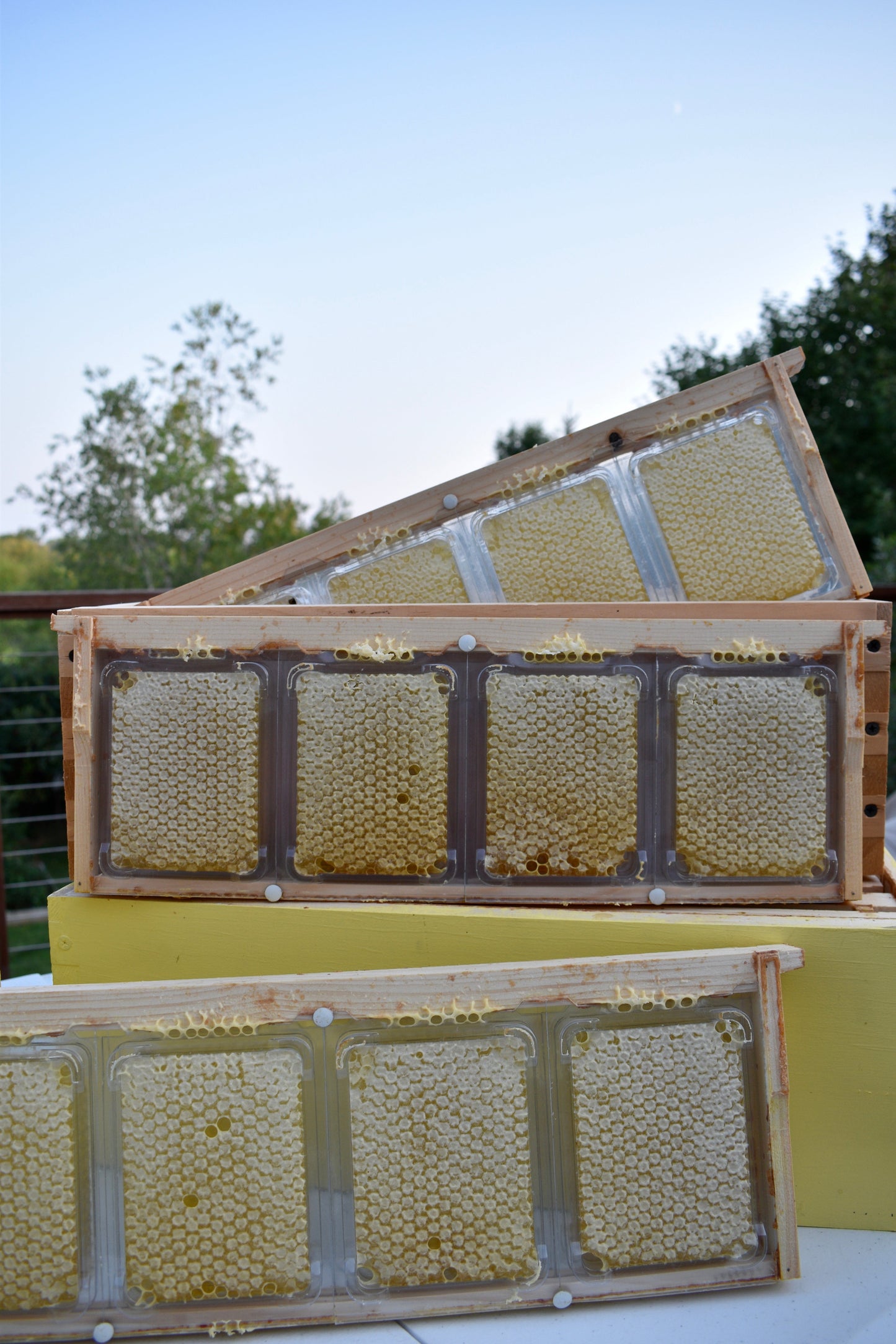 SimplKomb Honeycomb Cassette System-Used by Davis Acres Dancing Bees