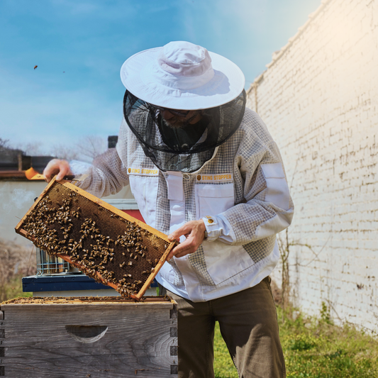 Beekeeping Veil - Round and Fencing