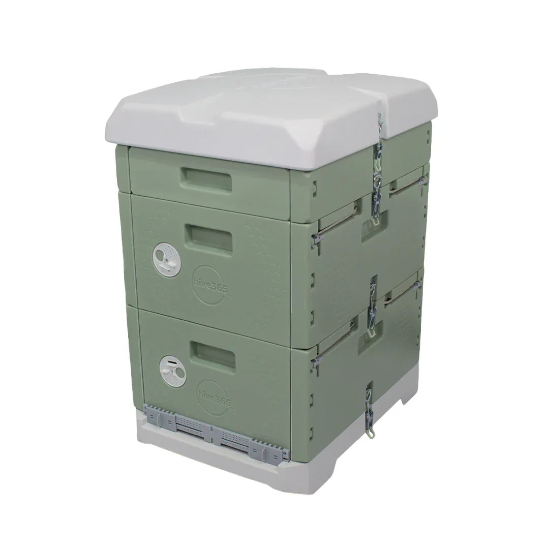 Hive365™ Premium Insulated Beehive - Double Deep Kit