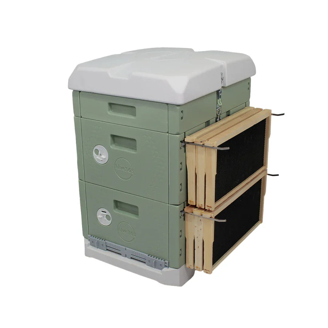 Double Deep Frame Adapter Hive365β’ Premium Insulated Beehive - Double Deep Kit β Davis Acres ...